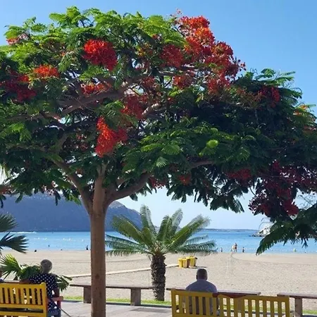 Lägenhet Fuer 3 Personen Ca 45 M In Cristianos, Teneriffa Westkueste Von Teneriffa *